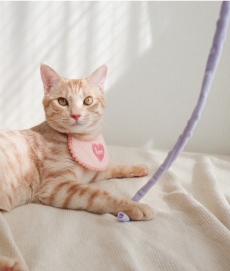 개달당 벨벳 낚시대 고양이 끈 장난감 카샤카샤 리필