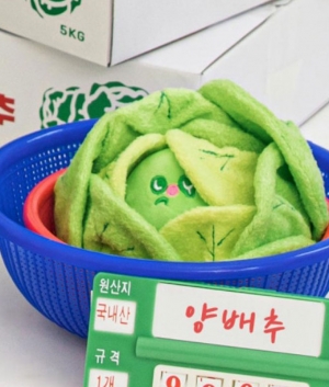 바잇미 양배추 킁킁볼 노즈워크 바스락 삑삑이 장난감